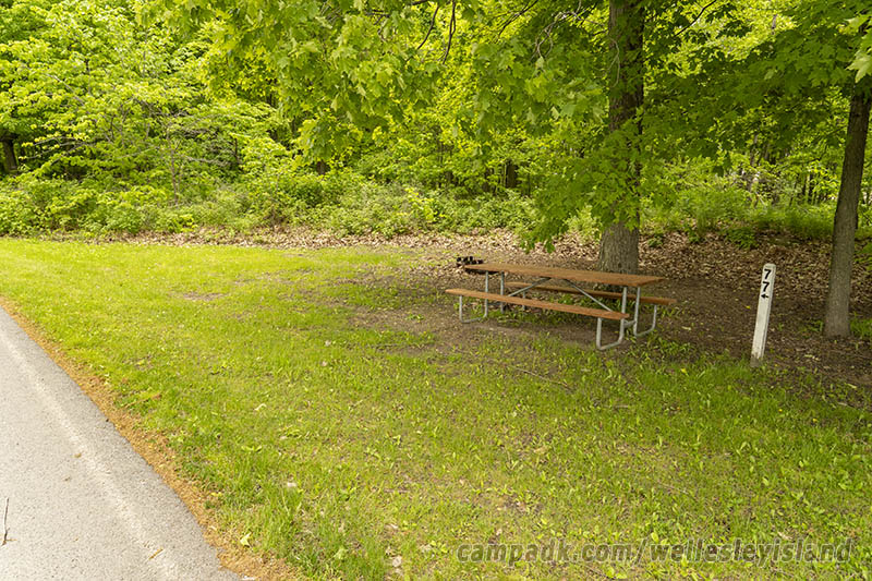 Campsite Photo of Site 77 at Wellesley Island State Park, New York - Looking at Site from Road Sign Visible