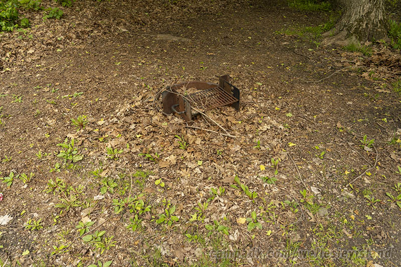 Campsite Photo of Site 77 at Wellesley Island State Park, New York - Fireplace View