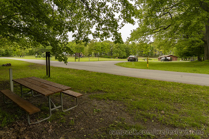 Campsite Photo of Site 77 at Wellesley Island State Park, New York - Looking Back Towards Road