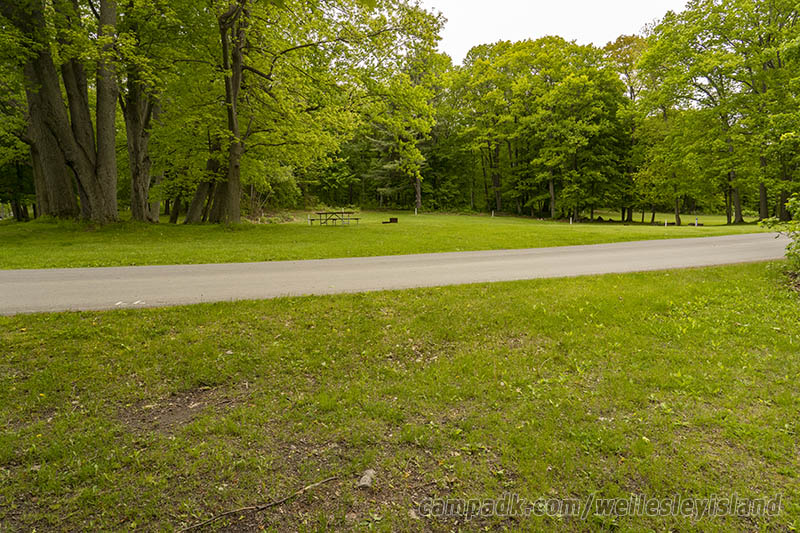Campsite Photo of Site 77 at Wellesley Island State Park, New York - Looking Back Towards Road