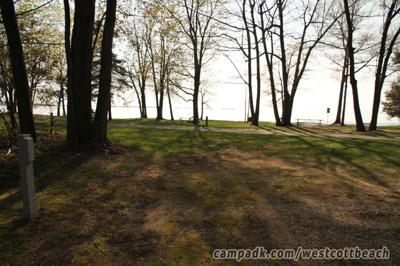 Campsite Photo of Site 123 at Westcott Beach State Park, New York - Looking Back Towards Road