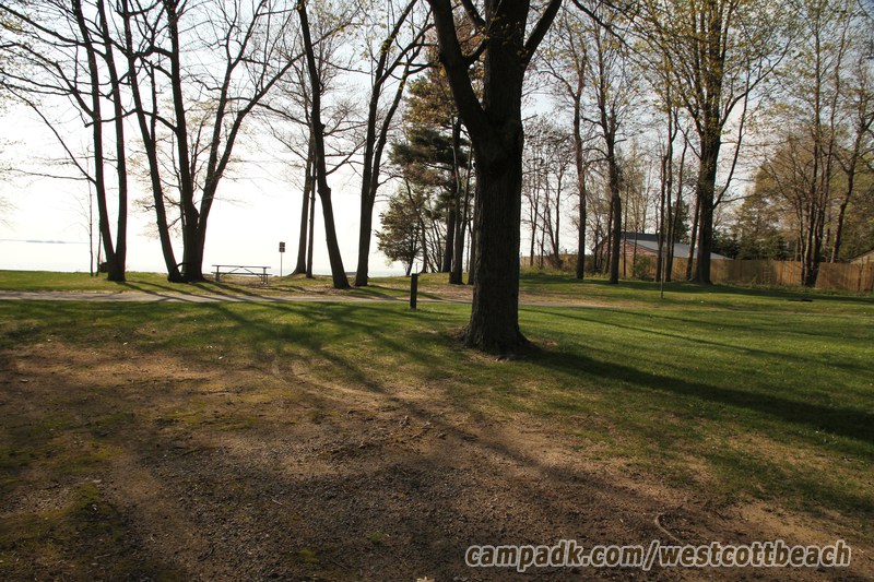 Campsite Photo of Site 123 at Westcott Beach State Park, New York - Looking Back Towards Road