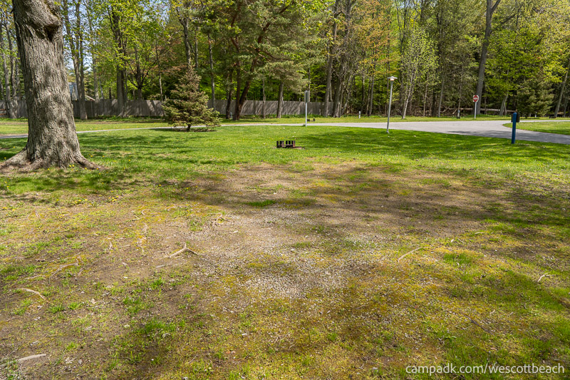 Campsite Photo of Site 123 at Westcott Beach State Park, New York - Cross Site View