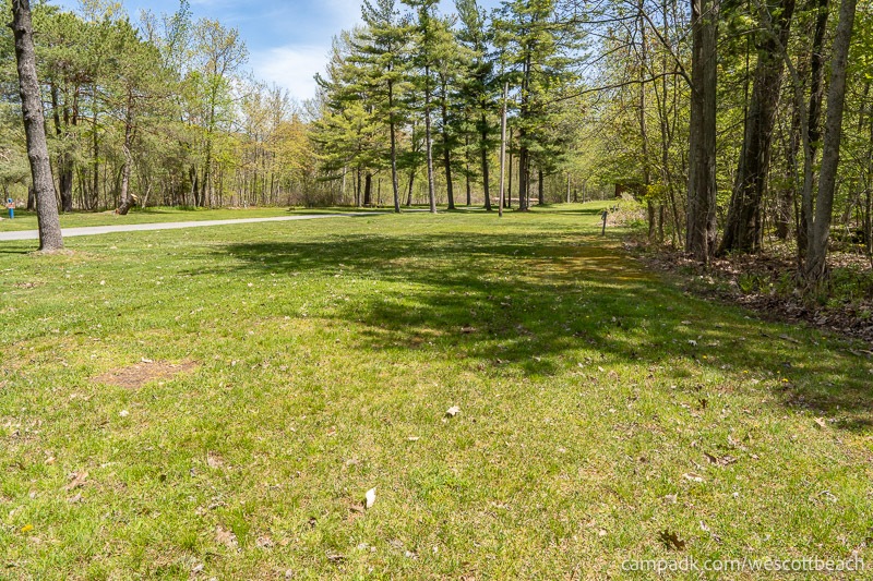 Campsite Photo of Site 15 at Westcott Beach State Park, New York - Cross Site View