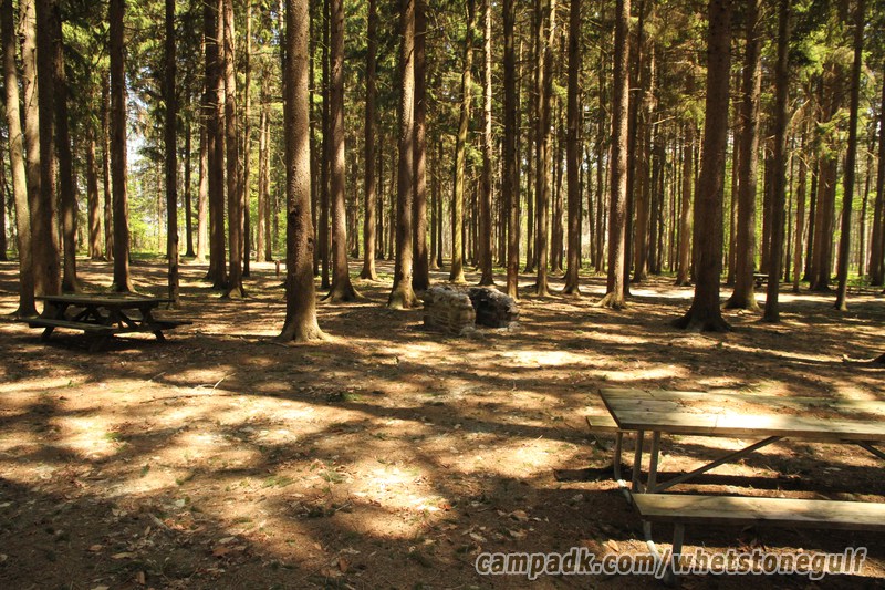 Campsite Photo of Site 25 at Whetstone Gulf State Park, New York - Cross Site View