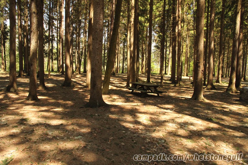 Campsite Photo of Site 25 at Whetstone Gulf State Park, New York - Cross Site View