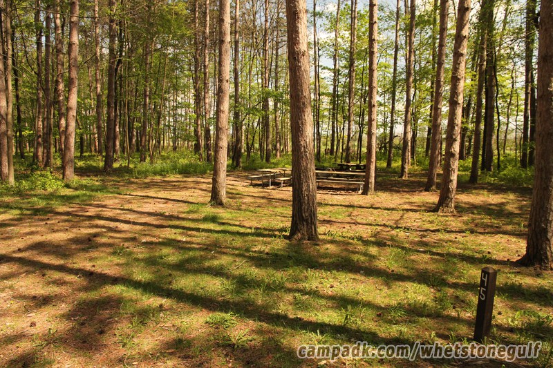 Campsite Photo of Site 45 at Whetstone Gulf State Park, New York - Looking at Site from Road Sign Visible