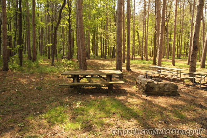 Campsite Photo of Site 45 at Whetstone Gulf State Park, New York - Cross Site View