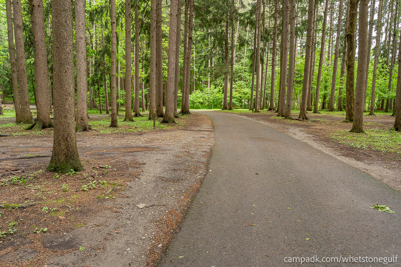 Campsite Photo of Site 25 at Whetstone Gulf State Park, New York - View Down Road from Campsite