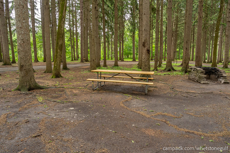 Campsite Photo of Site 25 at Whetstone Gulf State Park, New York - Cross Site View