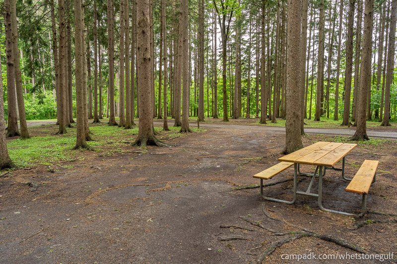 Campsite Photo of Site 25 at Whetstone Gulf State Park, New York - Looking Back Towards Road