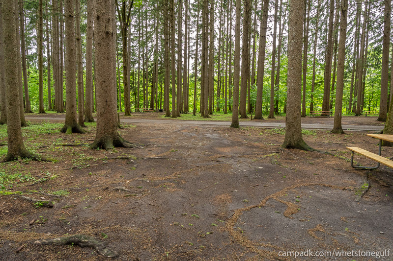 Campsite Photo of Site 25 at Whetstone Gulf State Park, New York - Looking Back Towards Road