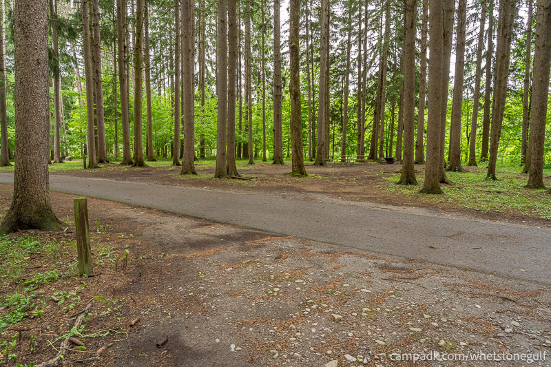 Campsite Photo of Site 25 at Whetstone Gulf State Park, New York - Looking Back Towards Road