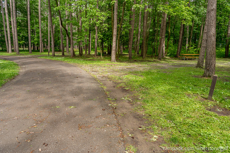Campsite Photo of Site 45 at Whetstone Gulf State Park, New York - View Down Road from Campsite