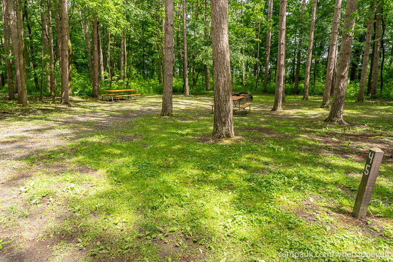 Campsite Photo of Site 45 at Whetstone Gulf State Park, New York - Looking at Site from Road Sign Visible