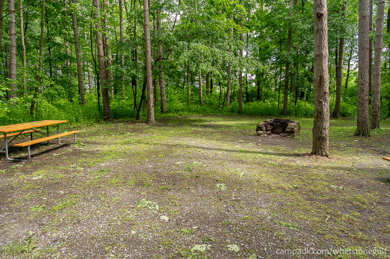 Campsite Photo of Site 45 at Whetstone Gulf State Park, New York - Looking at Site from Part Way In