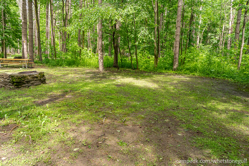 Campsite Photo of Site 45 at Whetstone Gulf State Park, New York - Cross Site View