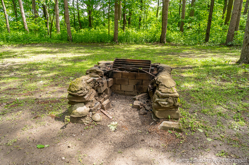 Campsite Photo of Site 45 at Whetstone Gulf State Park, New York - Fireplace View