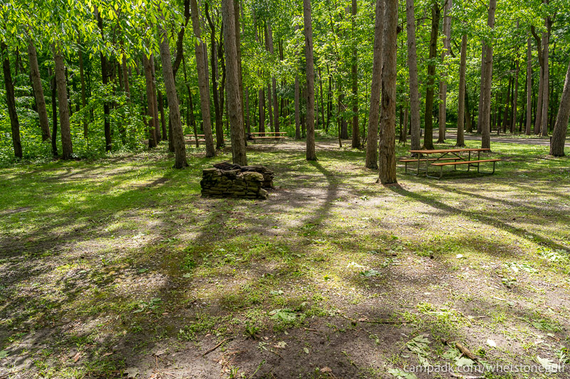 Campsite Photo of Site 45 at Whetstone Gulf State Park, New York - Cross Site View