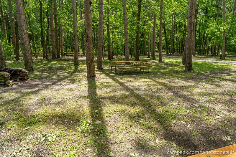 Campsite Photo of Site 45 at Whetstone Gulf State Park, New York - Cross Site View