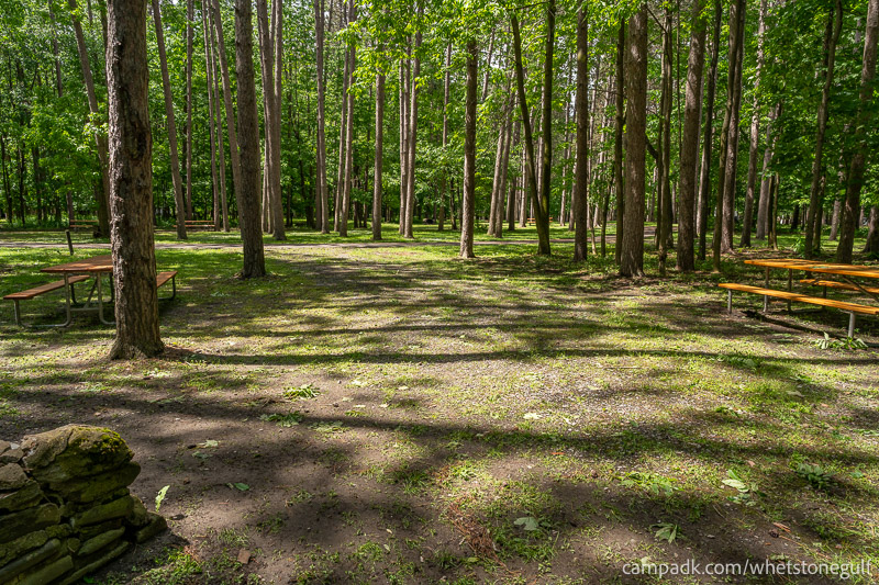 Campsite Photo of Site 45 at Whetstone Gulf State Park, New York - Looking Back Towards Road