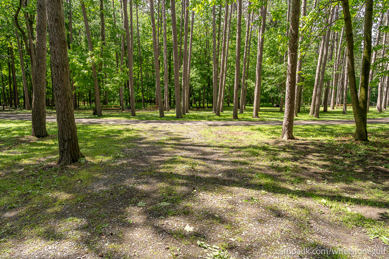 Campsite Photo of Site 45 at Whetstone Gulf State Park, New York - Looking Back Towards Road