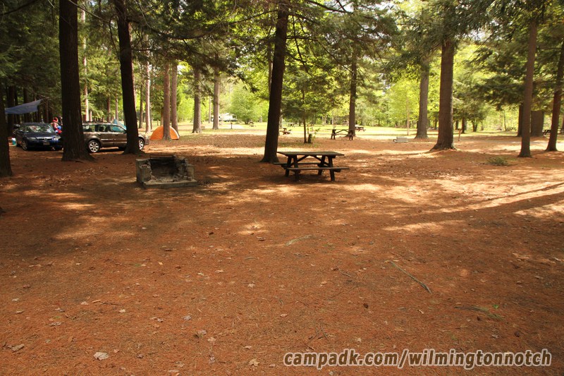 Campsite Photo of Site 46 at Wilmington Notch Campground, New York - Looking at Site from Road