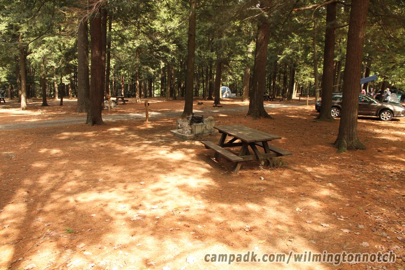 Campsite Photo of Site 46 at Wilmington Notch Campground, New York - Cross Site View