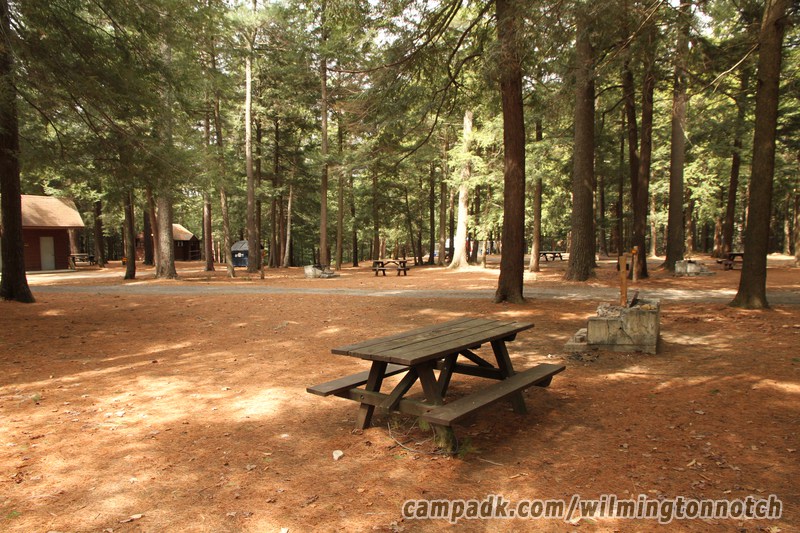 Campsite Photo of Site 46 at Wilmington Notch Campground, New York - Looking Back Towards Road