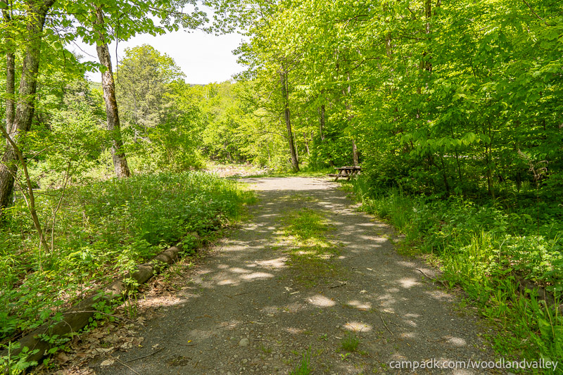 Campsite Photo of Site 6 at Woodland Valley Campground, New York - Looking at Site from Part Way In