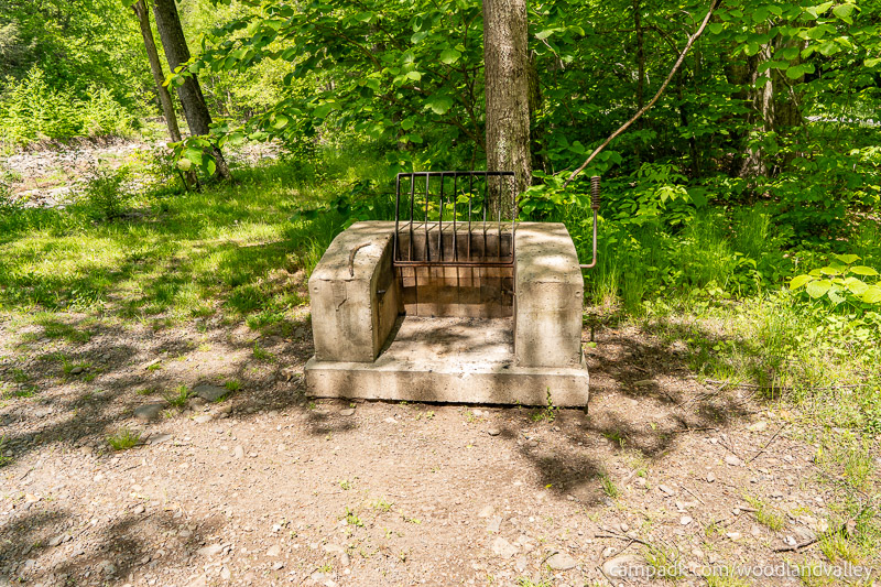 Campsite Photo of Site 6 at Woodland Valley Campground, New York - Fireplace View