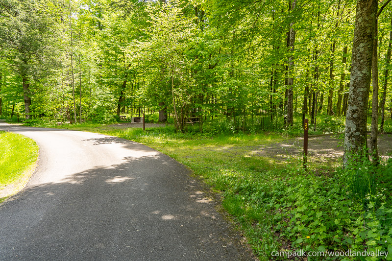 Campsite Photo of Site 22 at Woodland Valley Campground, New York - View Down Road from Campsite