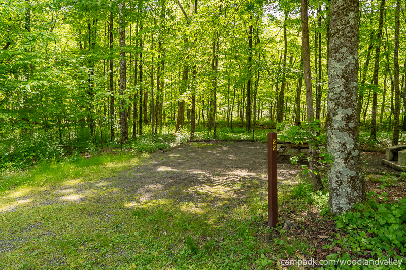 Campsite Photo of Site 22 at Woodland Valley Campground, New York - Looking at Site from Road Sign Visible