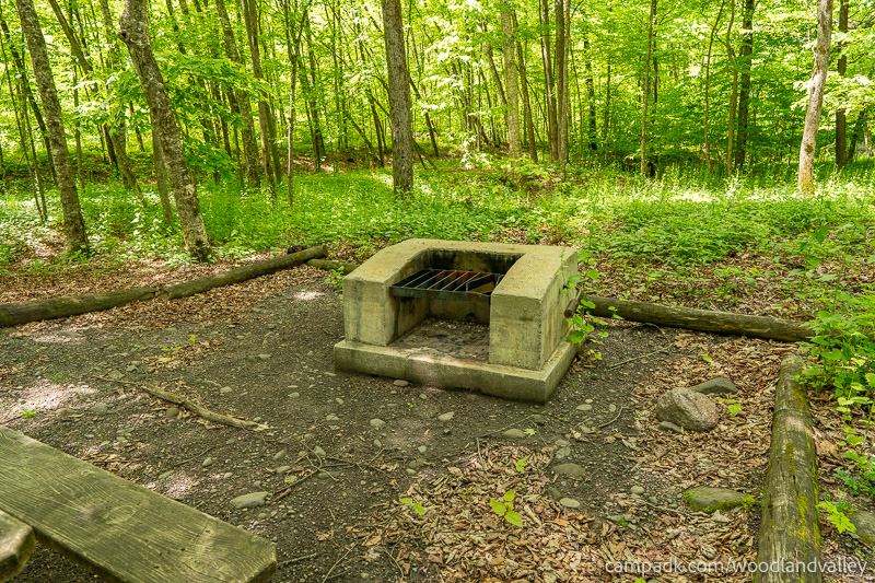 Campsite Photo of Site 22 at Woodland Valley Campground, New York - Fireplace View