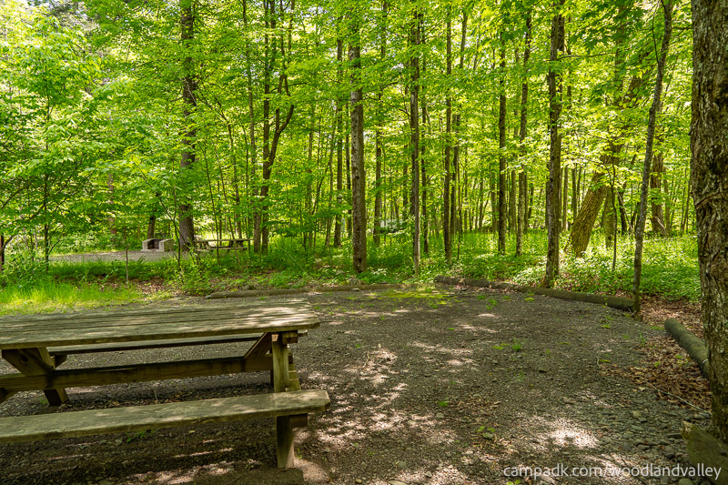 Campsite Photo of Site 22 at Woodland Valley Campground, New York - Cross Site View
