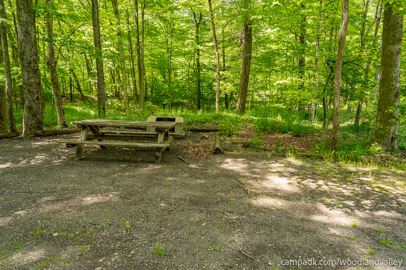 Campsite Photo of Site 22 at Woodland Valley Campground, New York - Cross Site View